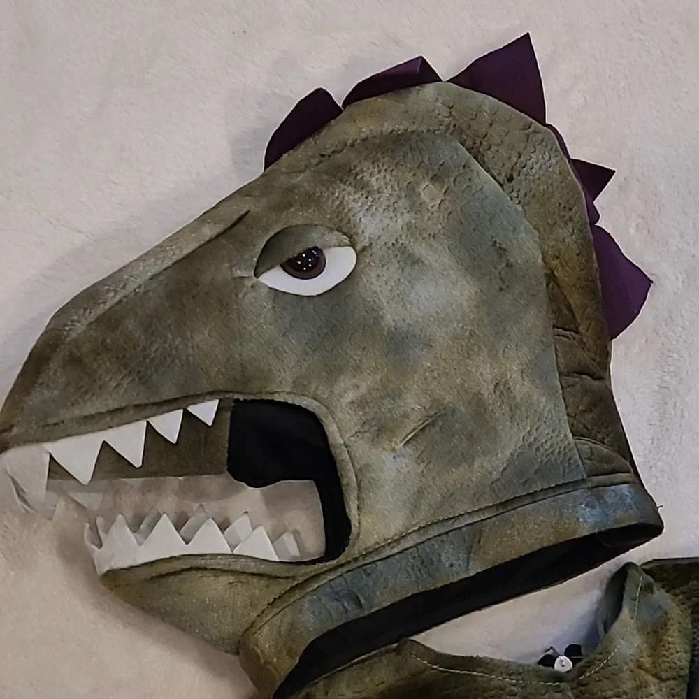 Dinosaur Or Dragon Costume Child XS 4/6?